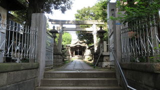 境内の周りに大木があります