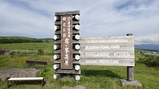 次回は個人で訪れてみたい