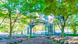 イベントがなかったので小音楽堂はひっそりとした雰囲気でした。