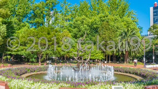 真ん中にカモメが沢山飛んでいる彫刻があります。