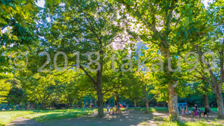 ここは周りをフェンスで囲まれていて、一か所だけあるゲートから入るようになっています。