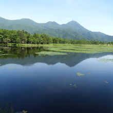 知床連山を写す一湖の湖面