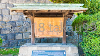 皇居外苑として一般公開されている部分だけでもかなり広いです。