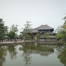 鏡池越しに見た大仏殿