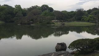 出汐の湊の左手