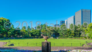 一般的にイメージする花壇とはチョット違う気がします。