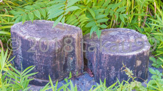 公園の案内図には載っていないので、探すのに結構苦労するかもしれません。