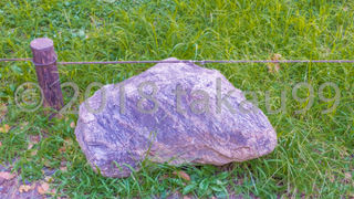 台座とか囲いもなしにポンと置いてあります。