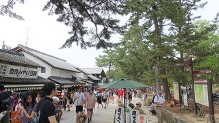 広い敷地に見どころが点在