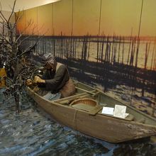 海苔の養殖を再現