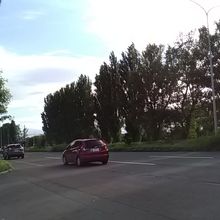 並木の距離はなかなかです