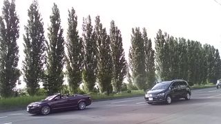 北大より規模が大きい