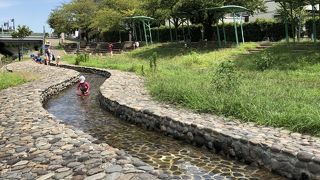 キレイな川でちびっ子も遊べます！