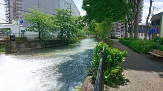 柳がたくさん植わり涼しい