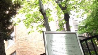 なぜここにこの碑があるのか