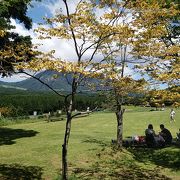 熊本随一の眺めの公園