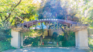 昭和の音楽史に残る伝説を数多く生み出した場所としてあまりにも有名です。