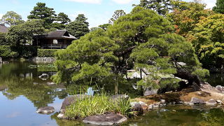 日本庭園文化の粋