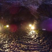 コウモリが生息する溶岩洞窟 （西湖コウモリ穴）