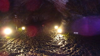 コウモリが生息する溶岩洞窟 （西湖コウモリ穴）