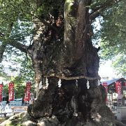 秩父の街の中にある落ち着いた神社・秩父今宮神社