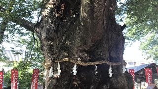 秩父の街の中にある落ち着いた神社・秩父今宮神社