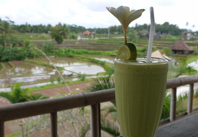 風が気持ちいい