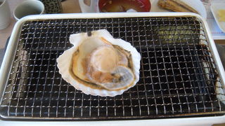 稚内に行くなら