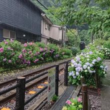 江ノ電のすぐ近くから見学できます