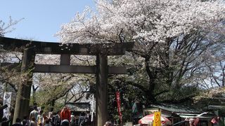 燈籠の続く参道の先に見事な唐門