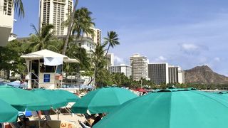 これぞ思い描いていたハワイの風景！