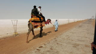 ホワイト ラン (ホワイト デザート)