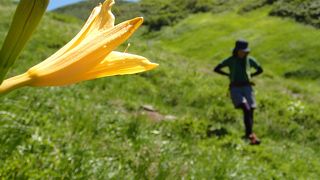 変化に富む「湯殿山コース」で月山に…。　夏山をエンジョイ！