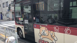 かわいいハチ公バス