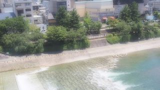 ちょっときれいになりましたかね。洪水の影響かな。