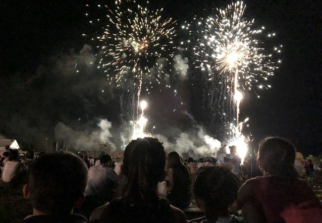 おおの城まつり大花火大会