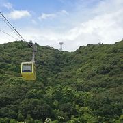 綺麗なロープウェイであっという間に山頂です!!