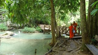 インスタ映え抜群！