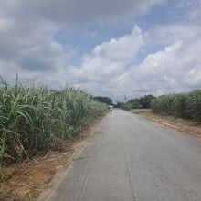 店の周囲はこんな景色が延々と続くので夜は絶対に迷う