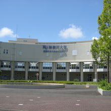 神奈川大学湘南ひらつかキャンパス Terra