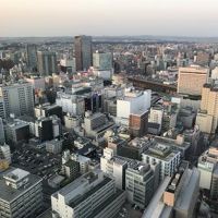 仙台市内が一望できます。