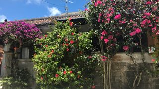 沖縄感の漂う竹富島。石垣に行くなら訪れないと損！