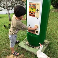 アヒルや羊のえさが買える