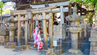 外国人観光客の撮影ツアーがいて物凄く邪魔でした。