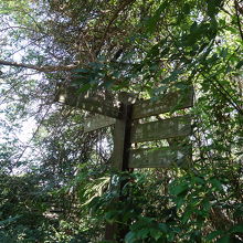 自然がいっぱい