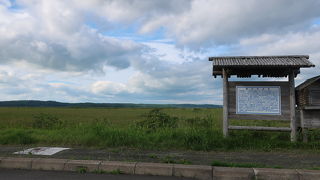 湿原横断散策路