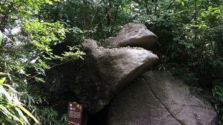 ガマガエルに似た大きな岩