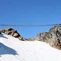 ウィスラー山頂にこの夏新登場の吊り橋 SUSPENSION BRIDGE！