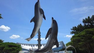 お盆最終日の水族館。