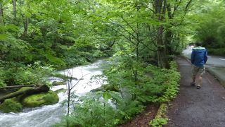 歩きやすい靴と装備が必要です